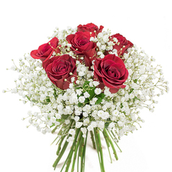 This bouquet, meticulously arranged at a local Old Ford florist shop, unleashes the drama of six perfectly bloomed red roses with petals deep and soft as velvet, their spirals tight and bold at the heart before unfurling with romantic intention. The graceful interplay between these rich crimson roses and the expansive, cloud-like baby's breath offers a gentle harmony-soft white blossoms that seem to float, cooling the intensity of the roses and lending the bouquet an air of airy sophistication. The stems, crisply snipped and visible beneath the display, speak to the florist's pride in freshness and attention to detail, recalling mornings spent sourcing blooms near Roman Road Market. This arrangement, set in the light of a pristine background to showcase every hue and contour, conjures a mood of quiet celebration and deep sincerity. It is ideal for those wishing to surprise a loved one within Old Ford, reunite at a family dinner near Victoria Park, or commemorate a cherished moment only East London can provide-each bouquet a tribute to both emotional expression and local craftsmanship.